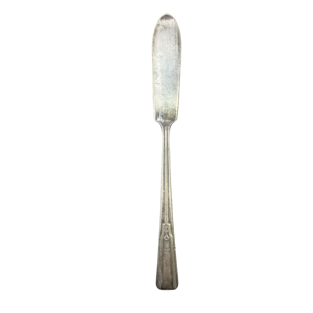 Vintage Wm Rogers Mfg Co Extra Plate IS Silverplate Master Butter Knife